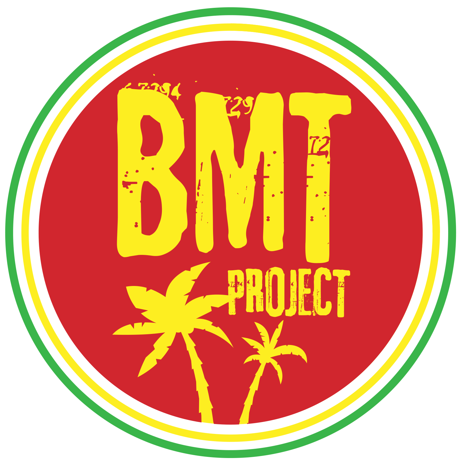 The Project BMT Project