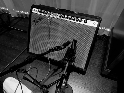 Fender Twin ReverbVintage amplifier